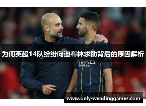 为何英超14队纷纷向迪布林求助背后的原因解析