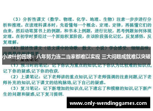 小波什的困境：八年努力连二当家都难以实现 三大问题成就难以突破