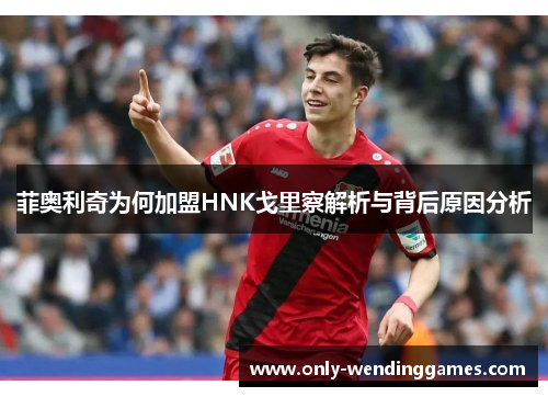 菲奥利奇为何加盟HNK戈里察解析与背后原因分析