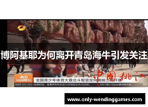 博阿基耶为何离开青岛海牛引发关注