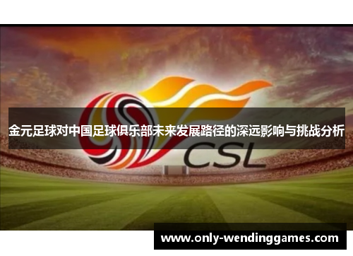 金元足球对中国足球俱乐部未来发展路径的深远影响与挑战分析