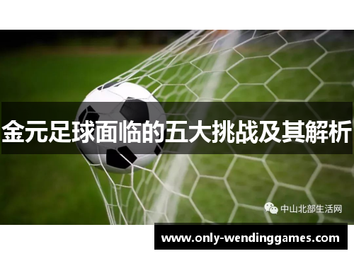 金元足球面临的五大挑战及其解析