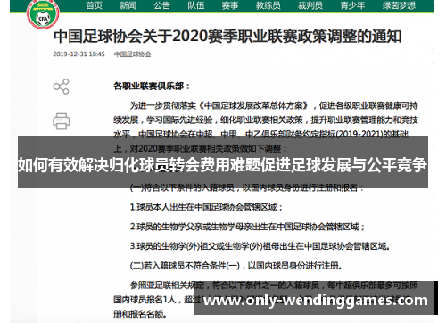 如何有效解决归化球员转会费用难题促进足球发展与公平竞争