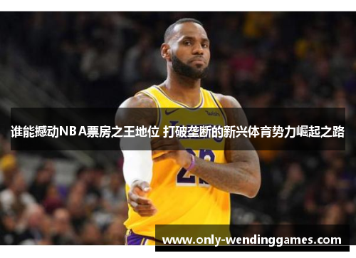 谁能撼动NBA票房之王地位 打破垄断的新兴体育势力崛起之路