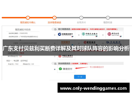 广东支付贝兹利买断费详解及其对球队阵容的影响分析