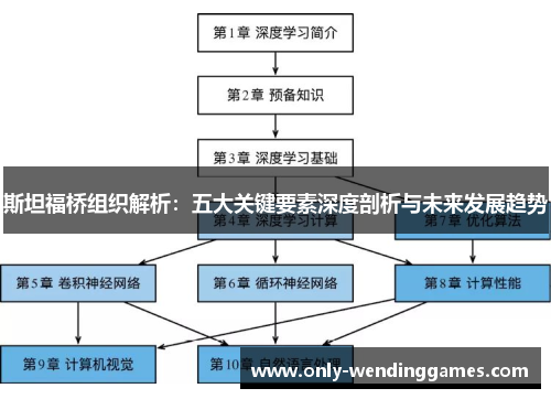 斯坦福桥组织解析：五大关键要素深度剖析与未来发展趋势