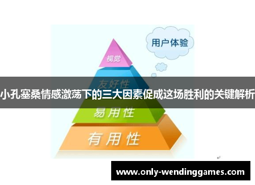 小孔塞桑情感激荡下的三大因素促成这场胜利的关键解析