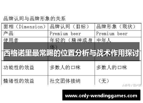 西格诺里最常踢的位置分析与战术作用探讨