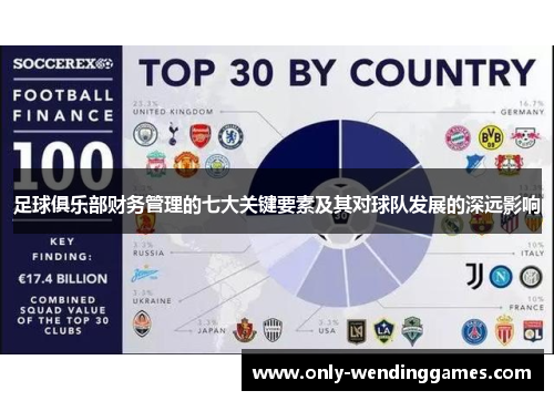 足球俱乐部财务管理的七大关键要素及其对球队发展的深远影响