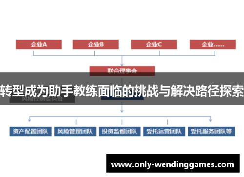 转型成为助手教练面临的挑战与解决路径探索