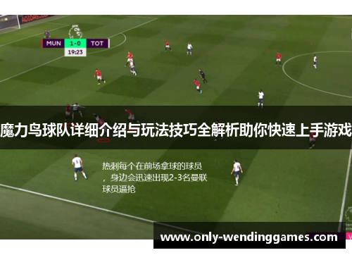 魔力鸟球队详细介绍与玩法技巧全解析助你快速上手游戏