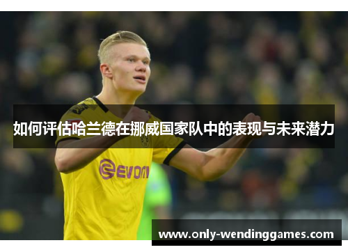 如何评估哈兰德在挪威国家队中的表现与未来潜力