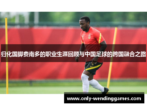归化国脚费南多的职业生涯回顾与中国足球的跨国融合之路