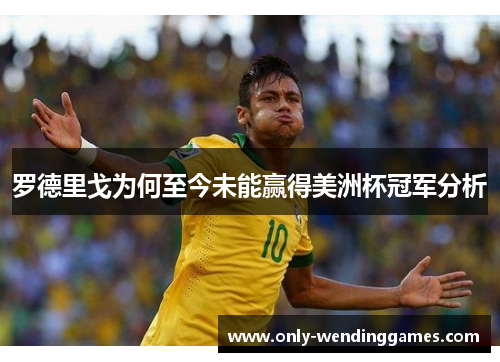 罗德里戈为何至今未能赢得美洲杯冠军分析 罗德里戈为何至今未能赢得美洲杯冠军分析