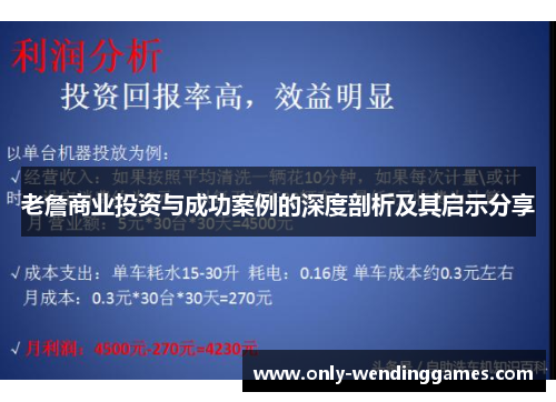 老詹商业投资与成功案例的深度剖析及其启示分享