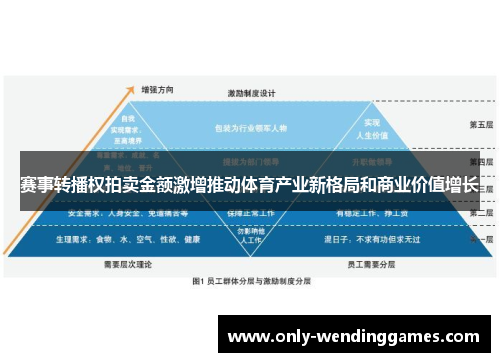 赛事转播权拍卖金额激增推动体育产业新格局和商业价值增长